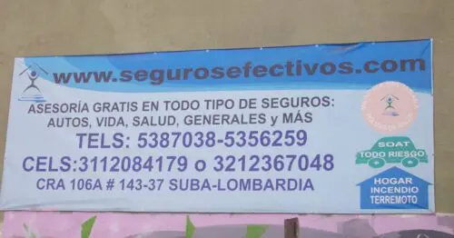 SEGUROS EFECTIVOS SEGUROS EFECTIVOS
